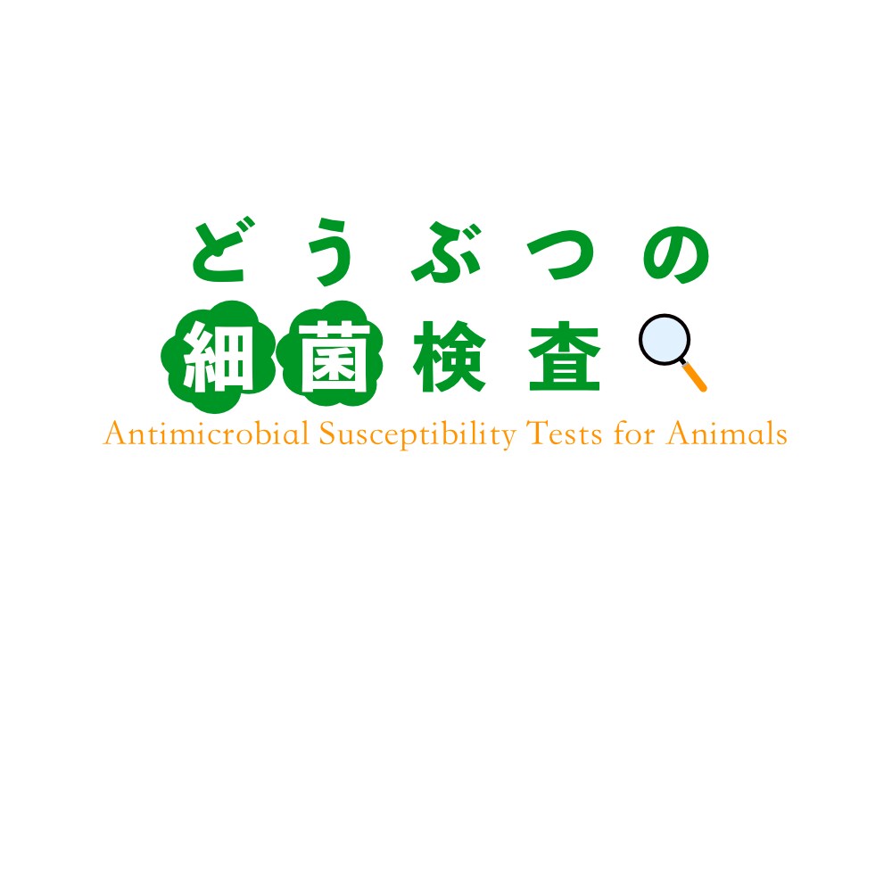 ロゴ・バナーのデザイン製作いたします 実際にデザインを勉強している者がデザインいたします。 イメージ3