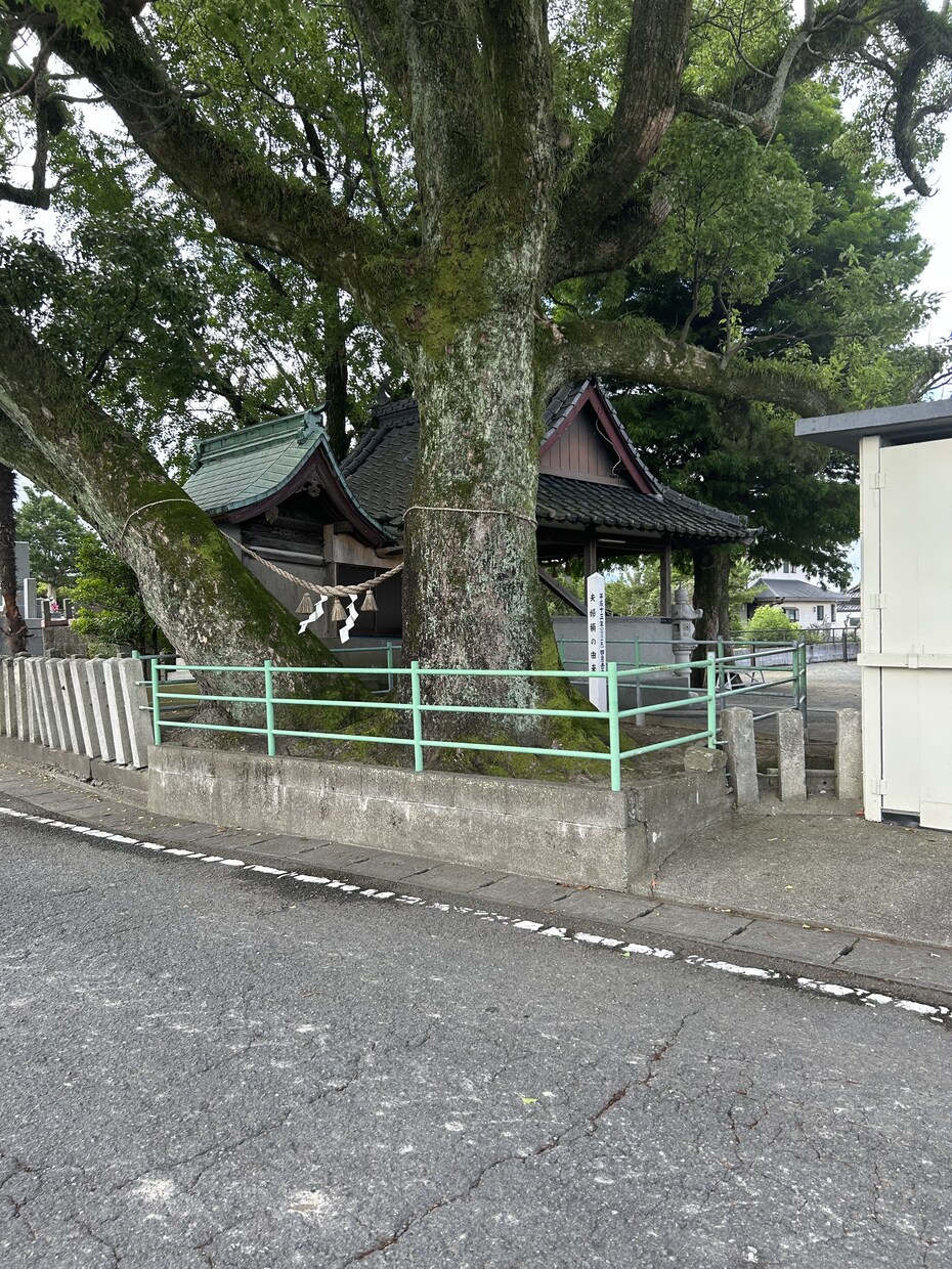 どんなお話でも聞きます 人生経験豊富な4人の子供の母です。 イメージ1