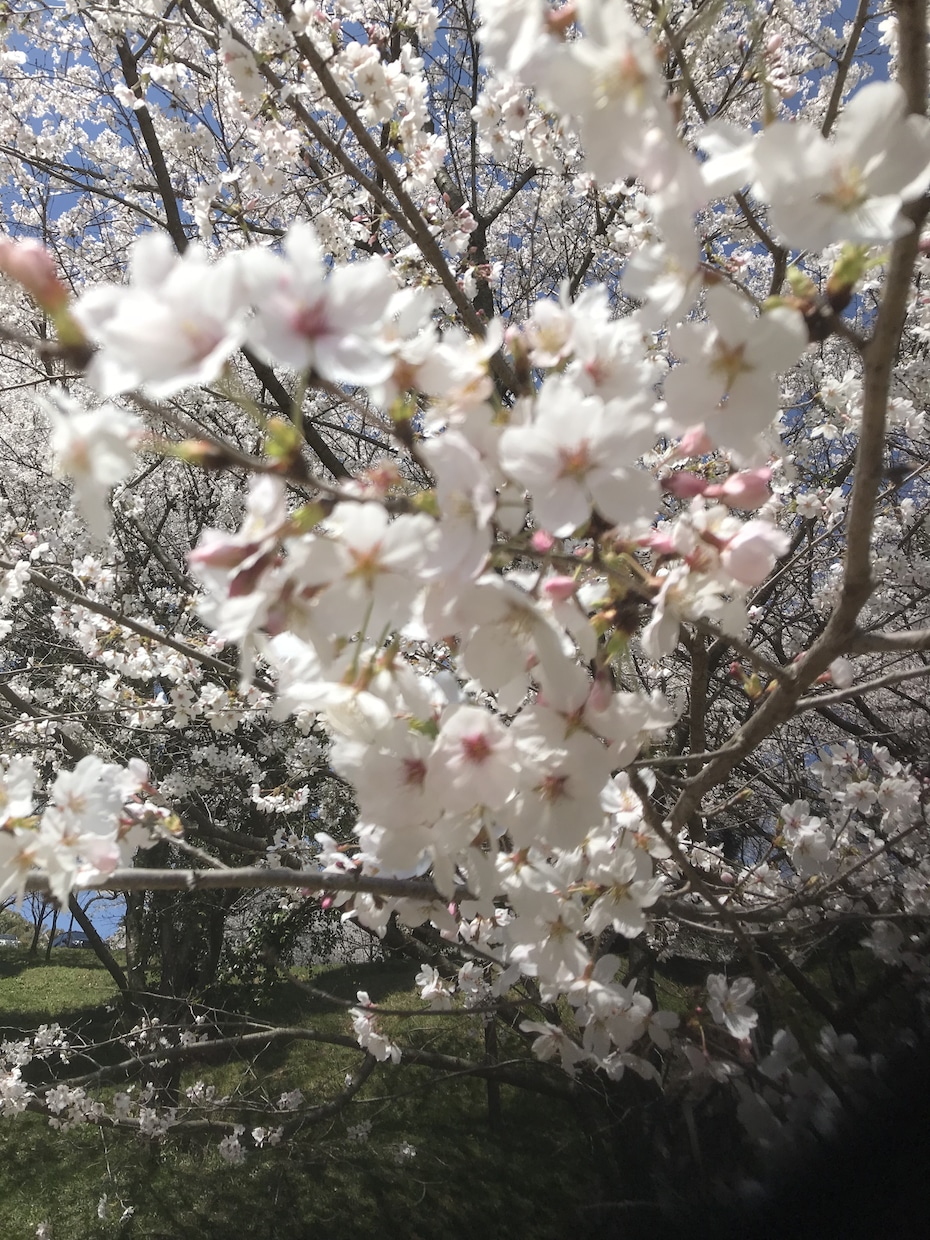 とりあえず話してみませんか？チカラになります 誰にも言えない悩みがある、あと一押ししてほしいあなたへ イメージ1