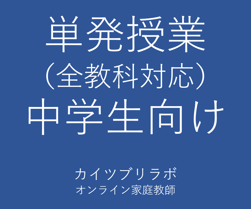 単発授業(60分)を行います 体験授業受講済みの方で、単発授業ご希望の方向け授業です イメージ1