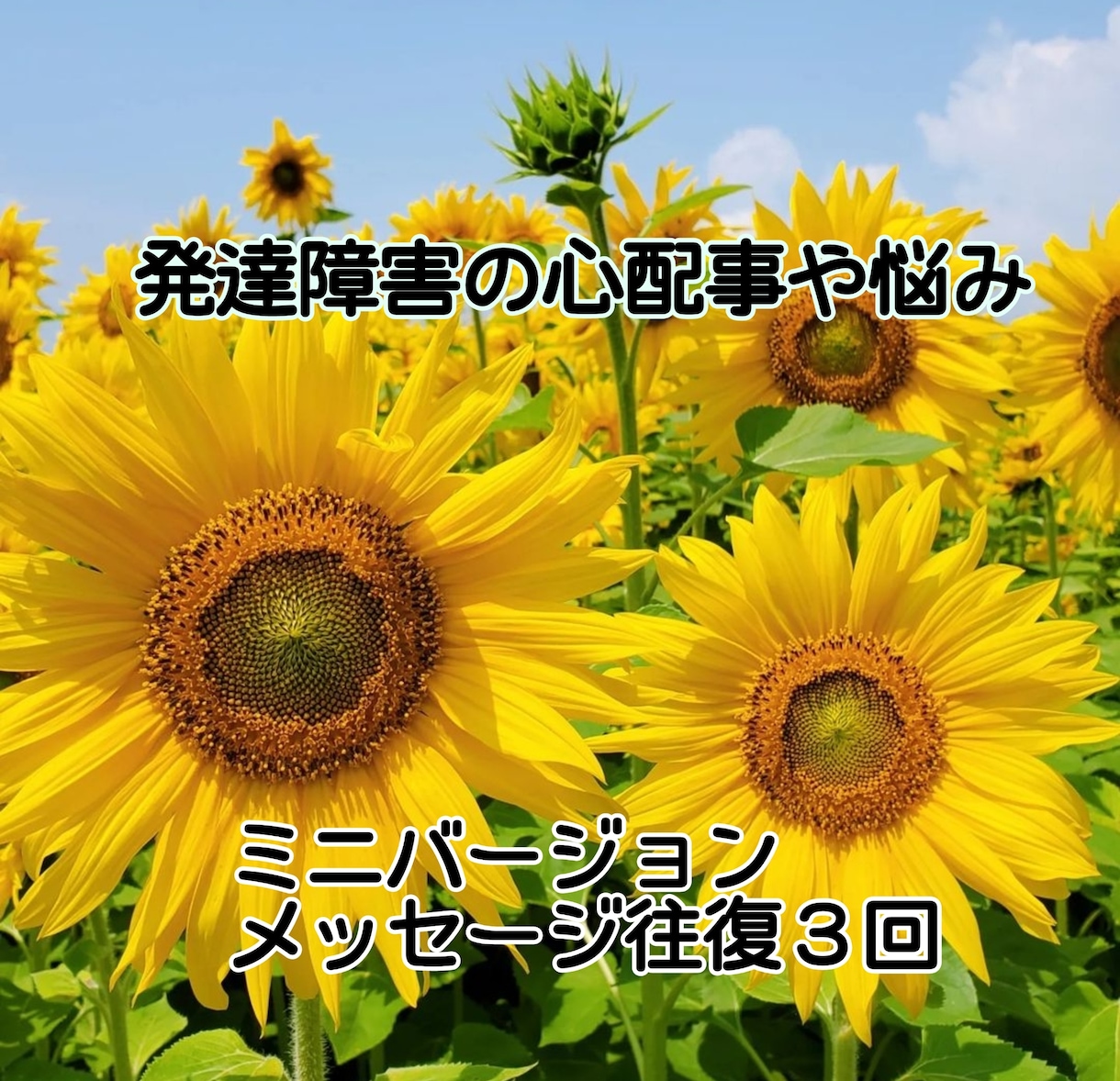 ３往復 発達障害全般の心配事や悩みを聞きます 小学校勤務の特別支援教育支援員が、あなたに寄り添います イメージ1