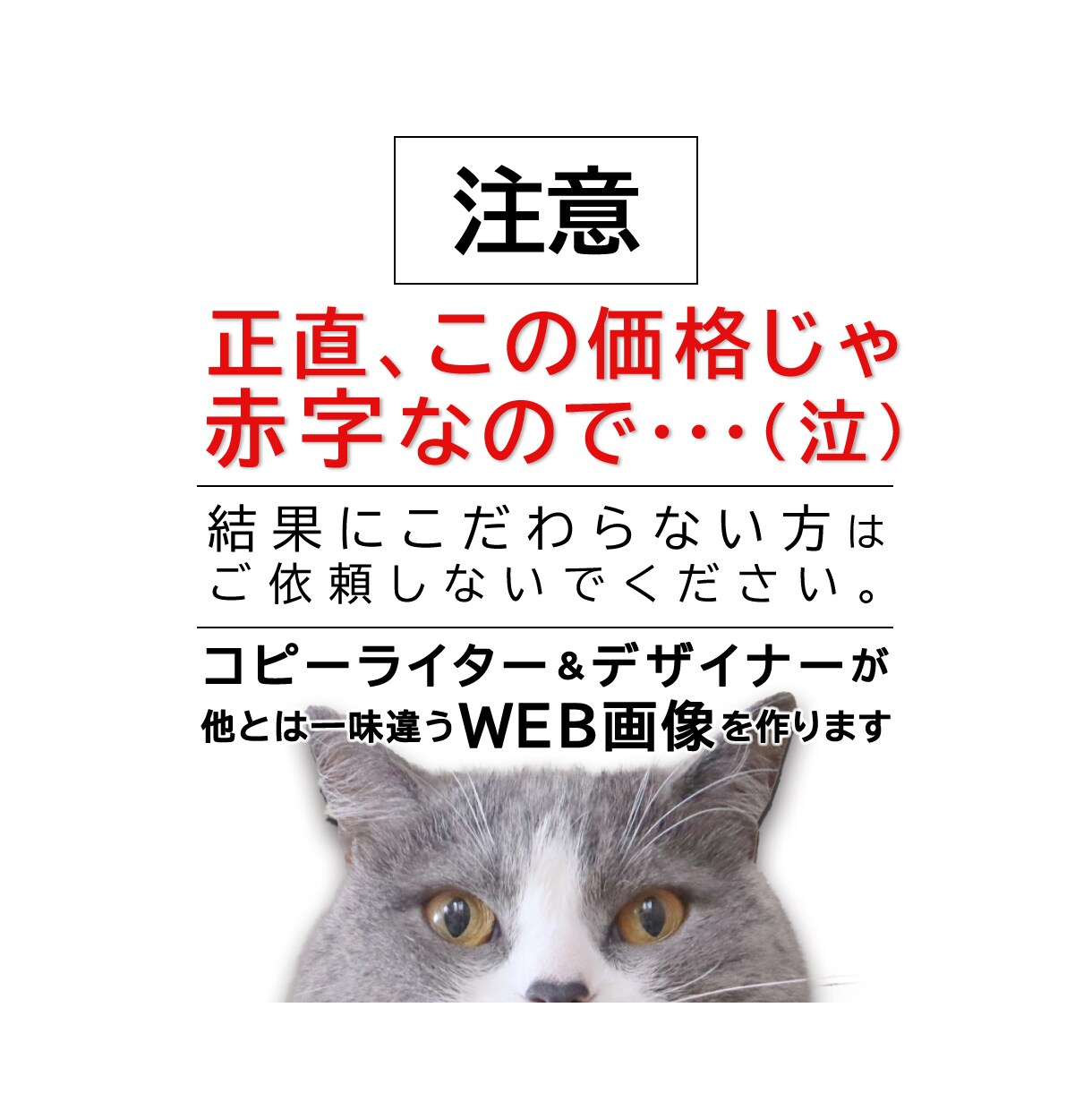 購買心理に基づいて高い反応率のWeb画像を作ります コピーライター＆デザイナーが他とは一味違うバナーを作ります！ イメージ1
