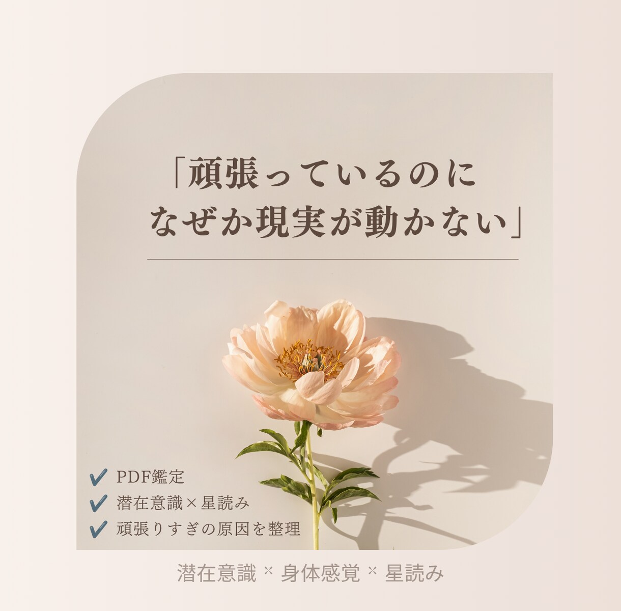 頑張っているのに現実が動かない理由を読み解きます あなたの星と身体が伝えたかったこと イメージ1