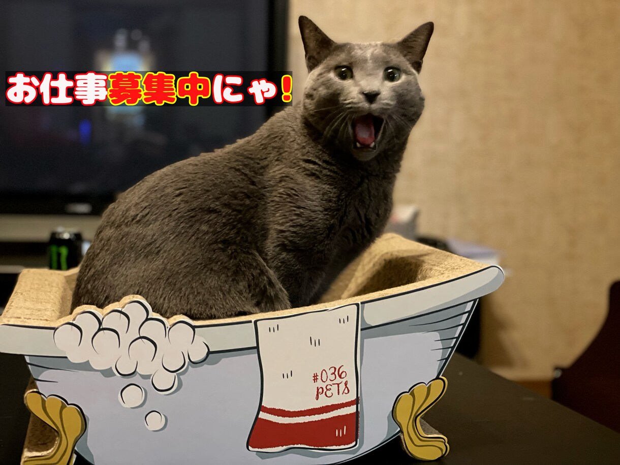 納期2日以内でYouTube動画編集請け負います スピーディーに編集させて頂きます！連絡もこまめに。 イメージ1