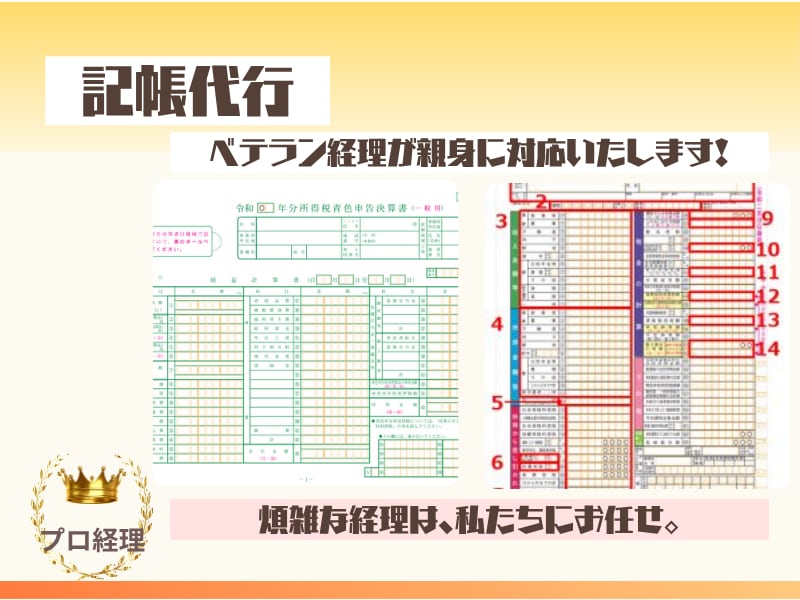 仕分け数お得に、プロ経理が個人事業主の記帳をします 当方の会計ソフトで記帳可能。ベテラン経理が青色申告をお手伝い イメージ3