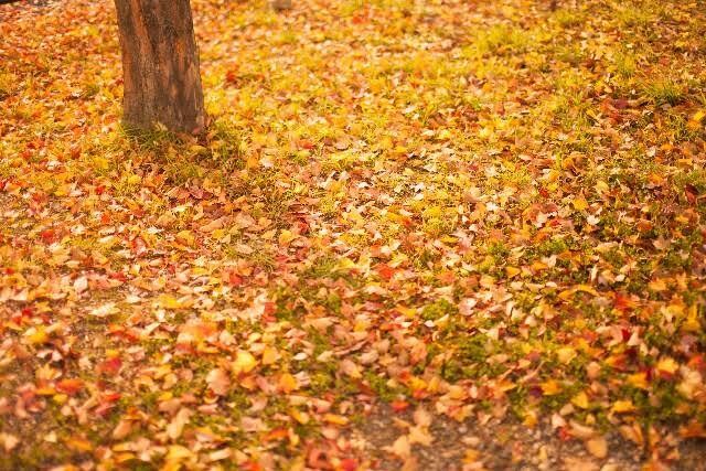 波動調整をします 波動が下がったり、あがったりその原因を見つけましょう イメージ1