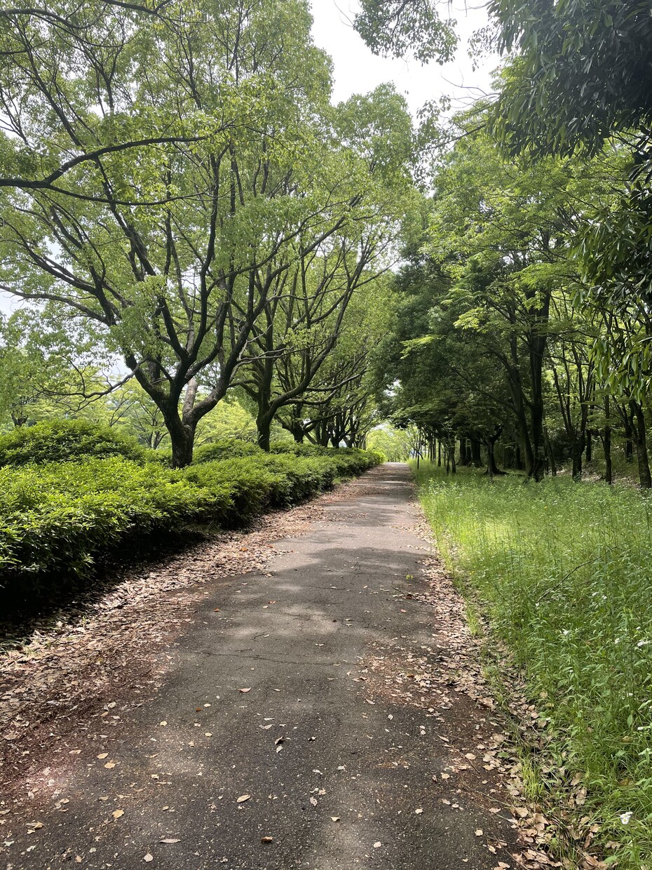 とにかく聴いてあげます✨あなたの悩みを受け止めます 介護についての悩みは相談になります！ イメージ6