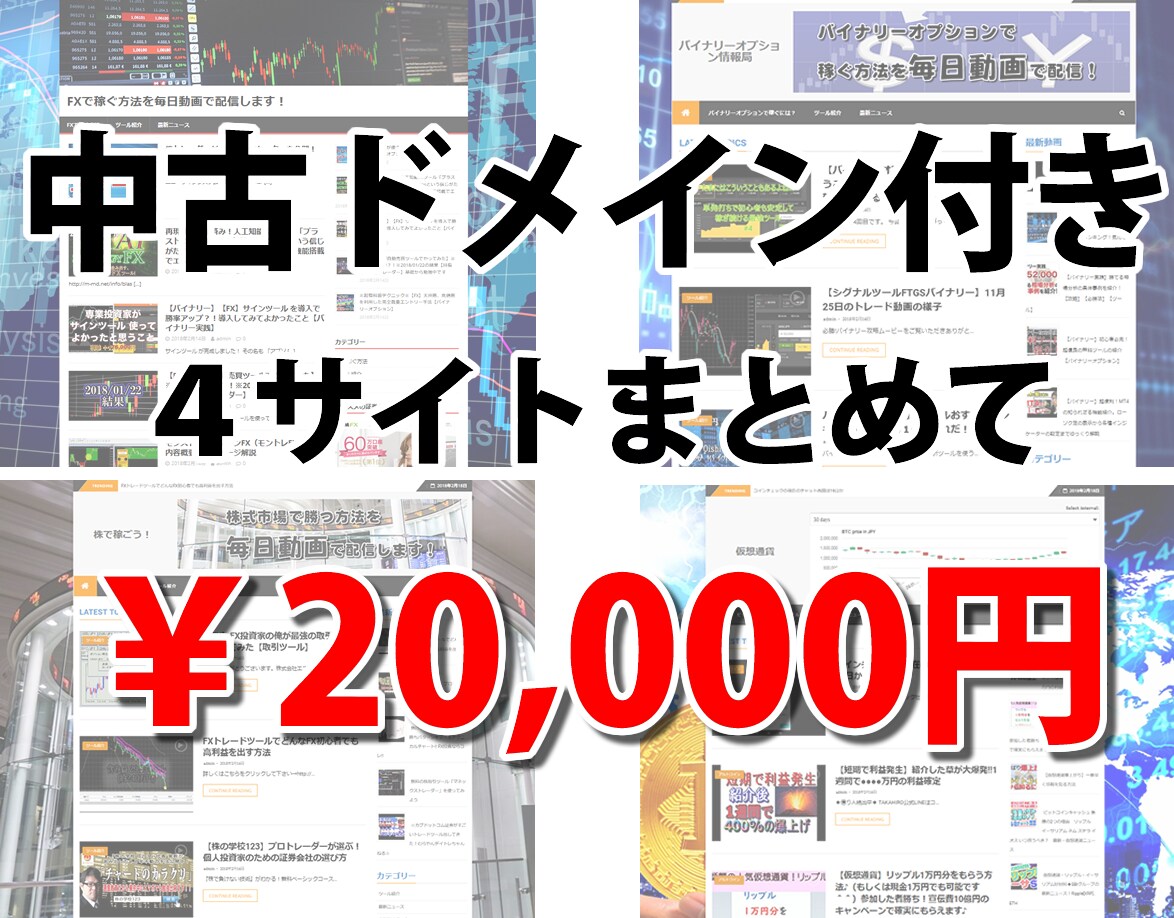 中古ドメイン付きで４サイトをまとめて売ります 稼ぎやすいと言われる投資系サイトを4サイト提供します。 イメージ1