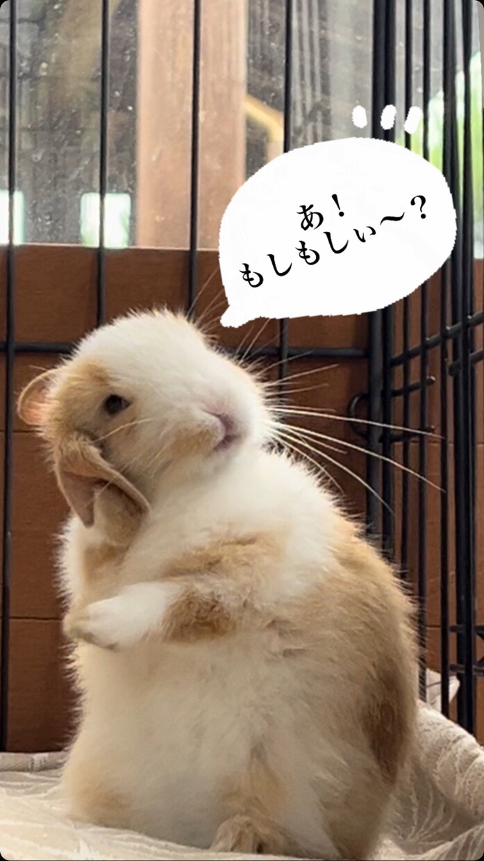 ジャンル問わずなんでも受け取めます ナースに相談してみたいこと、病院のあるある話で盛り上がる イメージ1