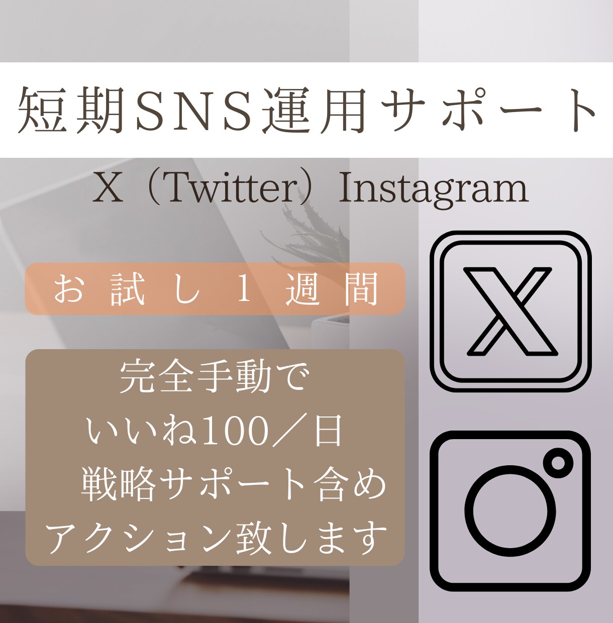 X（Twitter）戦略的お試しサポート致します 完全手動のアクションで認知拡大へのサポートを行います！ イメージ1