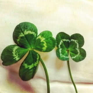 辛いお気持ちを軽く、楽にします 心に寄り添い、あなたが一歩踏み出せるカウンセリング イメージ1