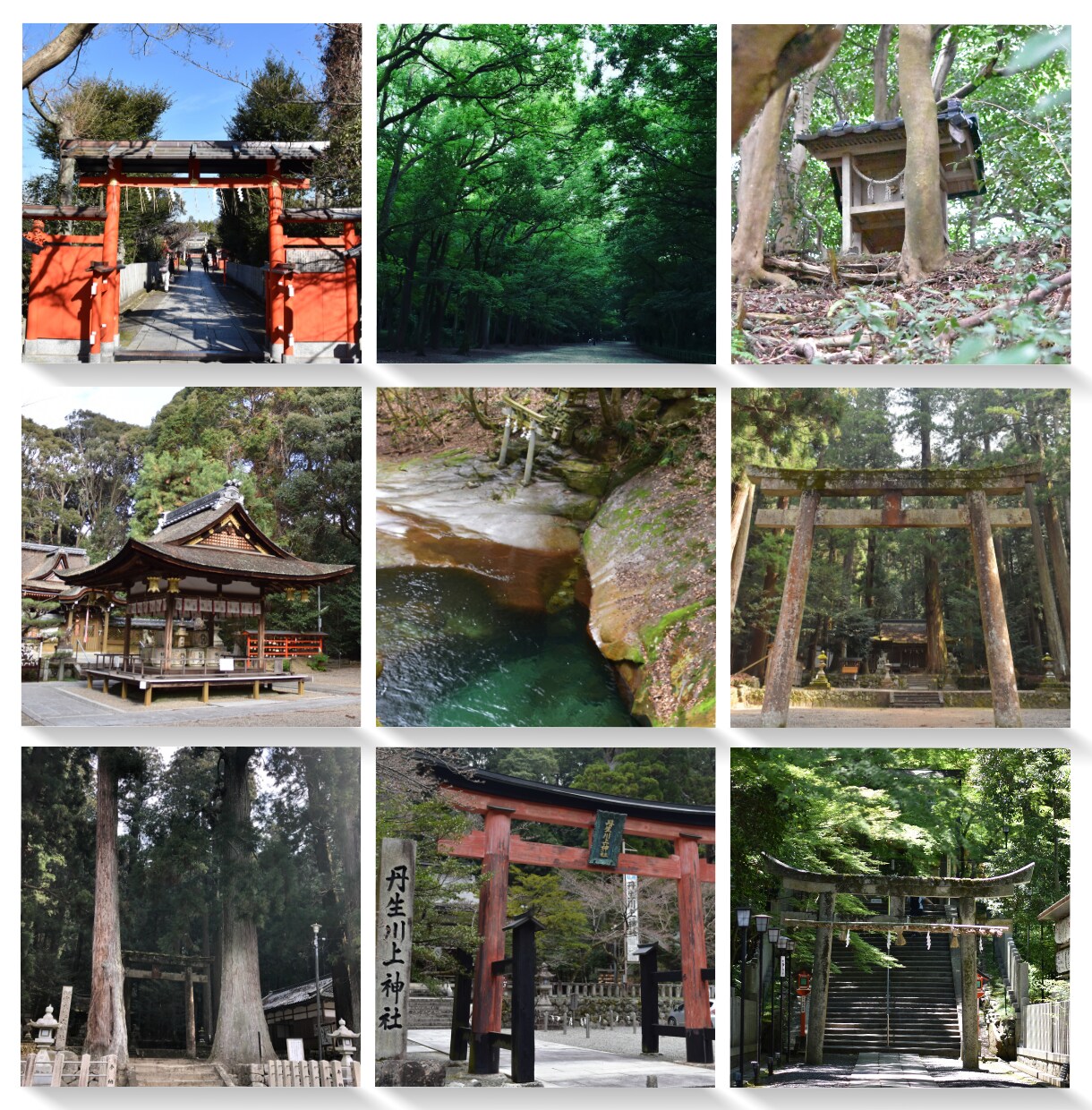 運命を開く 今！訪れると良い神社をアドバイスします 『開運』したいことを応援してくる神社の紹介です♡ イメージ5