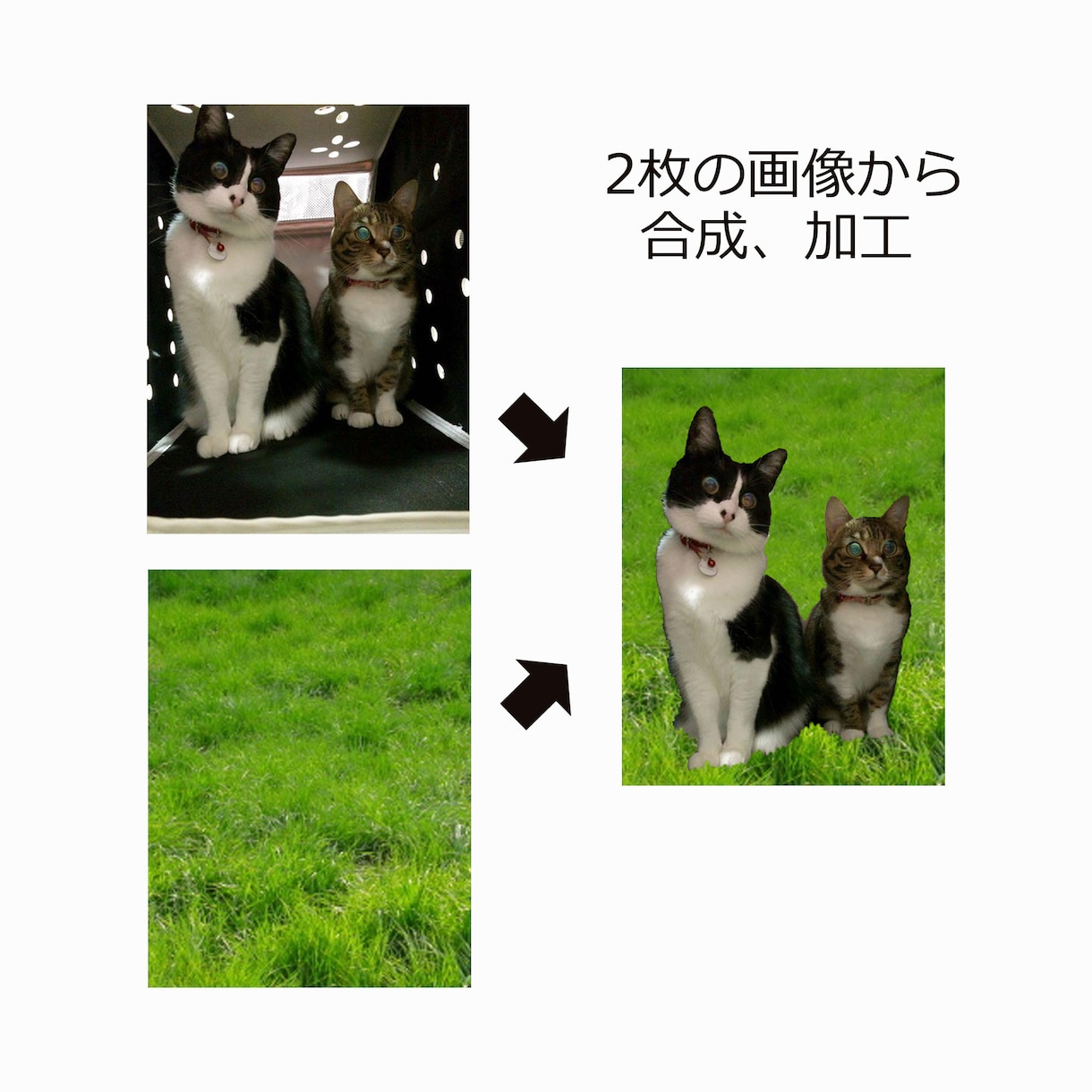 写真、画像を合成、加工します どんな画像処理にも対応。複数の画像を合成したり、修正します。 イメージ5