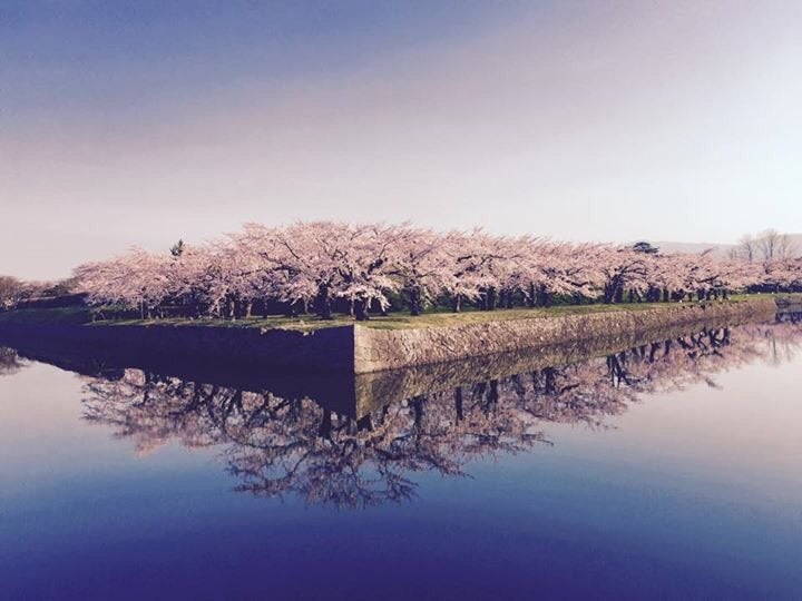 心のモヤモヤ吐き出しません？なんでも聞きます 日々の暮らしに少々の笑顔のエッセンスを加えましょう♪ イメージ1