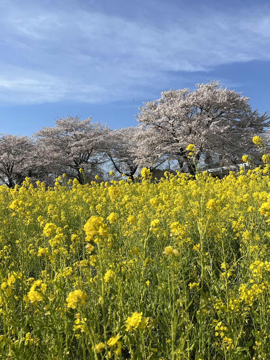 何でも聞きます！石川県の話も歓迎します 人間関係や仕事の愚痴や相談何でも聞きます！世間話や嬉しい事も イメージ1