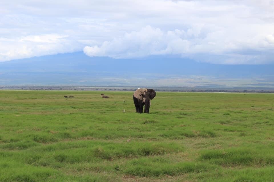 背景の不要なもの消します 旅行などで撮った風景、より洗練させます！ イメージ3