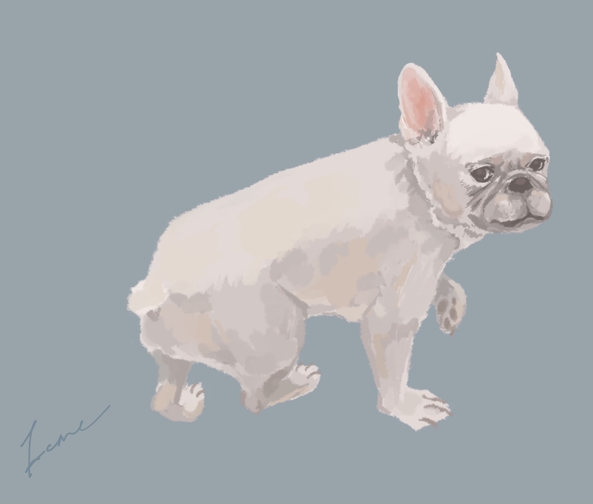 大切なペットのイラストを描きます 大切なペットちゃんの一瞬をイラストにして残しませんか？ イメージ2
