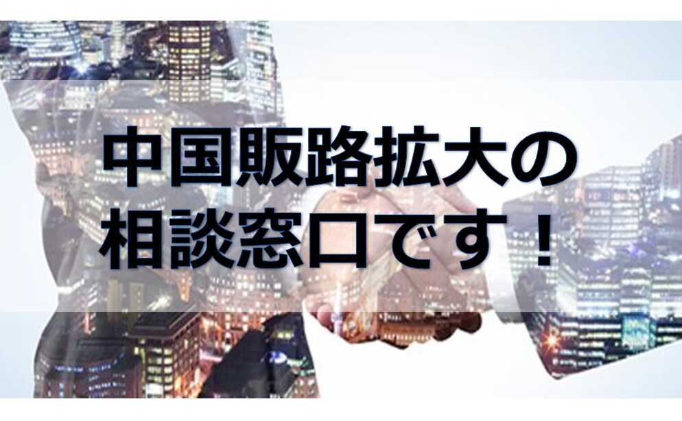 個人事業主様や企業様の中国販路拡大のご相談承ります ご相談内容に応じて、今後に役立つ提案書を提供しています。 イメージ1