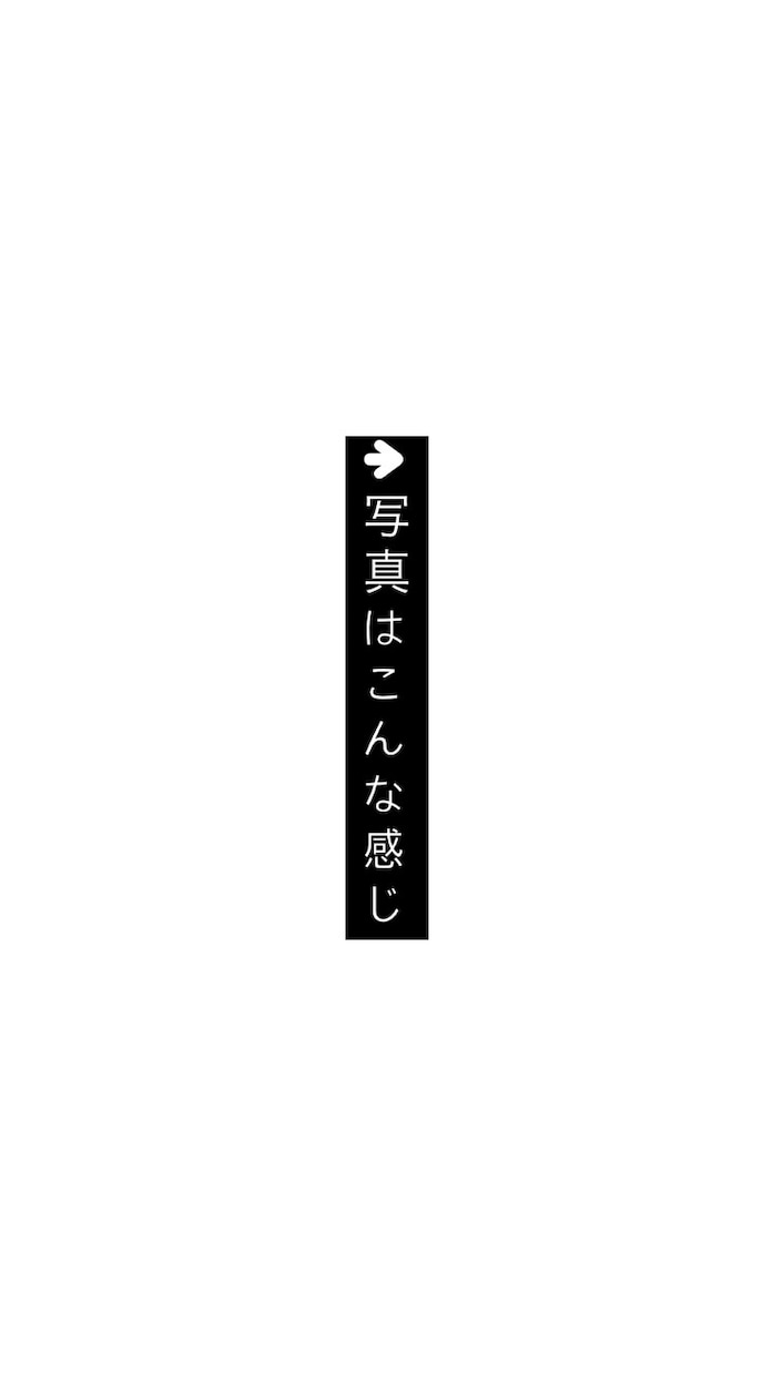 商用利用可能な写真素材1~30枚提供します 具体的には自然の風景、猫や鶏、犬などの動物の写真を提供します イメージ2
