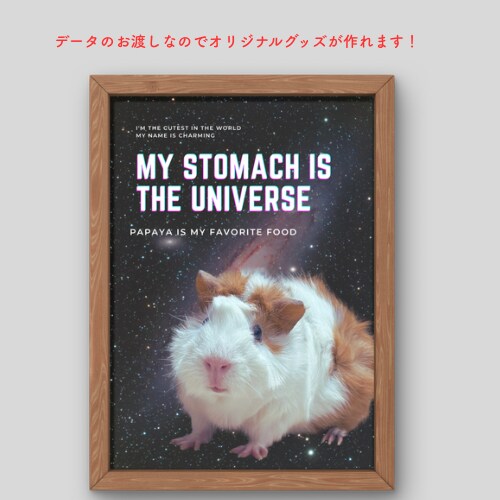 宇宙で一番可愛いうちの子を表現します 小動物の「うちの子」ポスター制作！エキゾチックアニマル大歓迎 イメージ1
