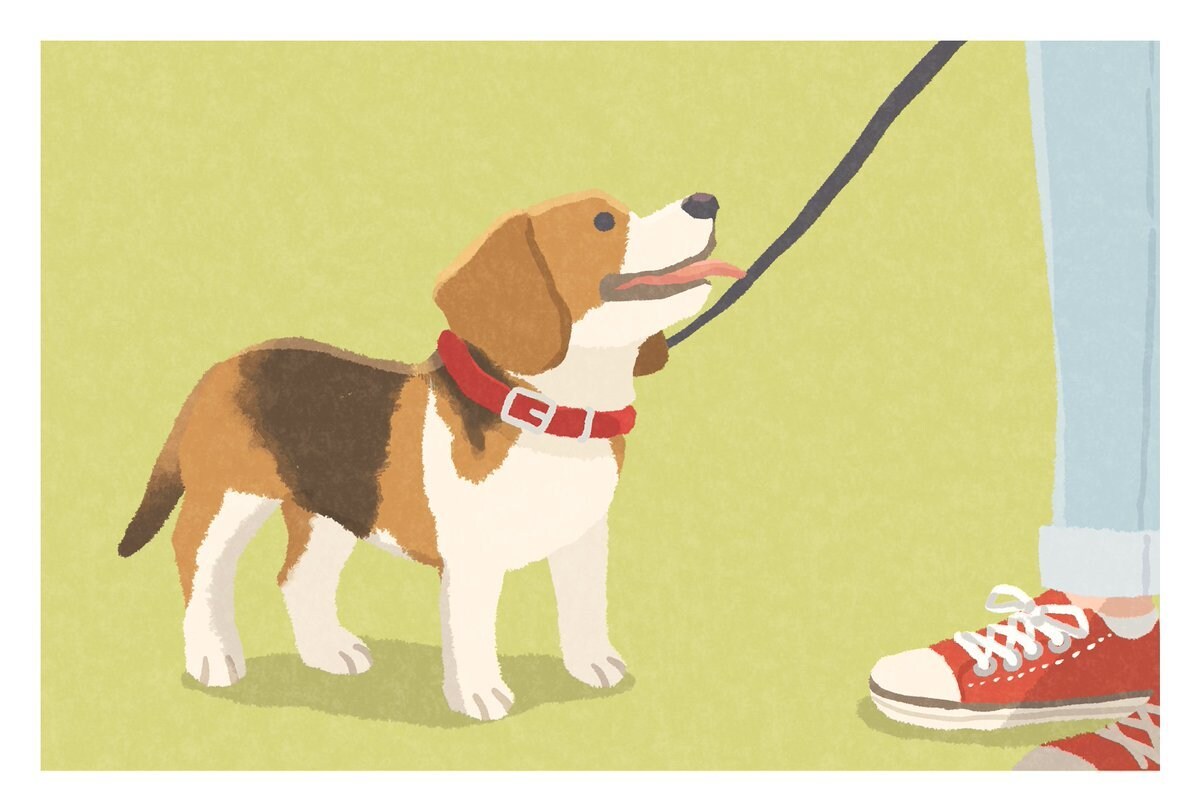 犬のイラスト描きます 大切なご家族の絵を描かせていただきます。 イメージ3