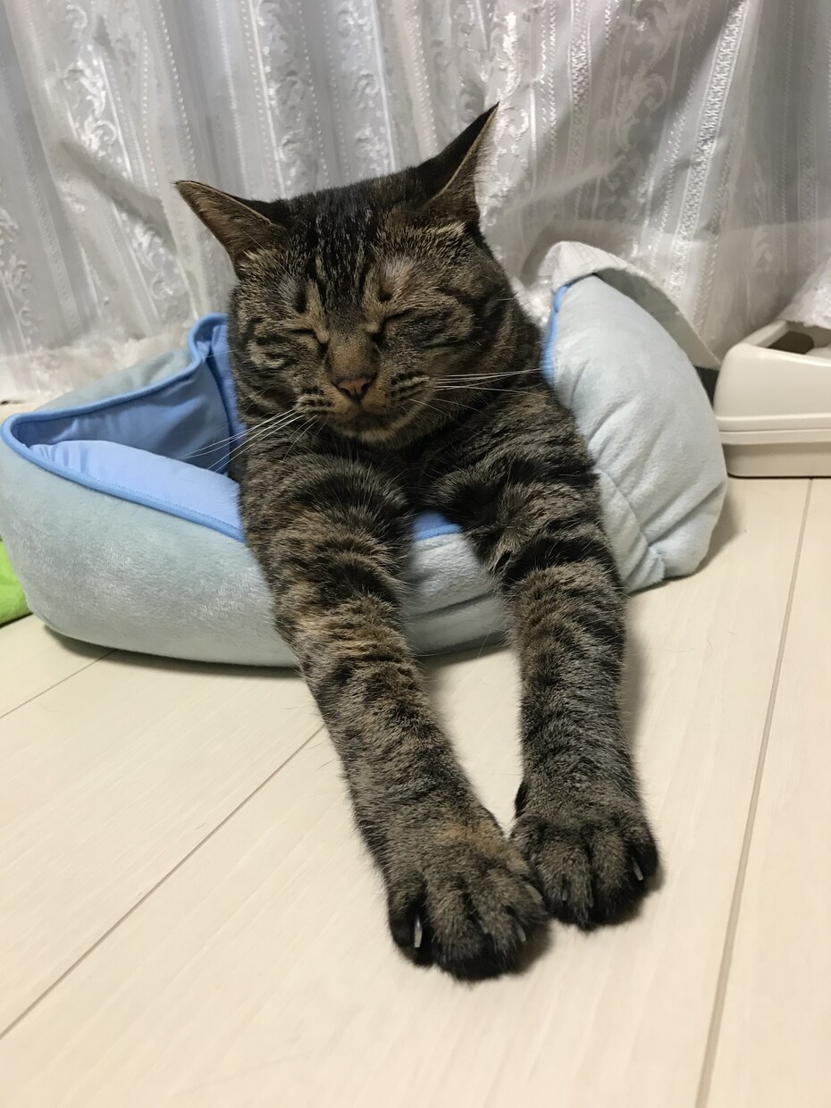聞きます人間関係、上司同僚問題など 一緒に考えます 嫌いな人いますか?私はいますよ バンバン愚痴ってください イメージ2