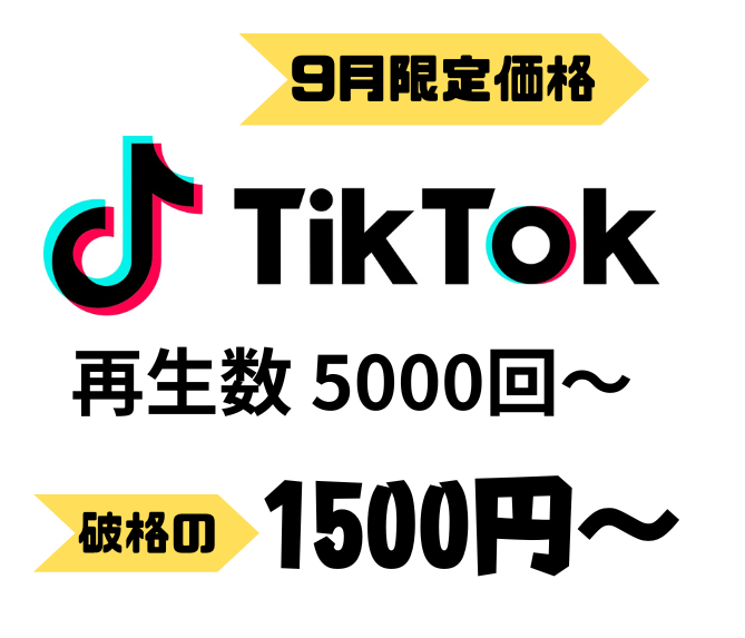 TikTok再生数+5000～拡散します 9月限定価格⭐️+5000再生で、あなたの投稿バズらせます イメージ1