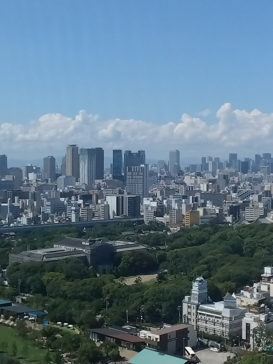 誰でもできる米国流安全効率投資をアドバイスします リスクをコントロールし長期投資で収益を上げる肝を教えます。 イメージ1