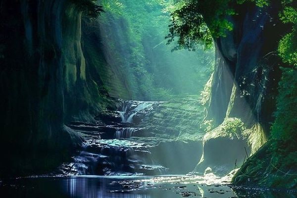 あの人に変わって謝罪します 怒り、悲しみ、憎しみ、自由にぶつけて下さい。 イメージ2