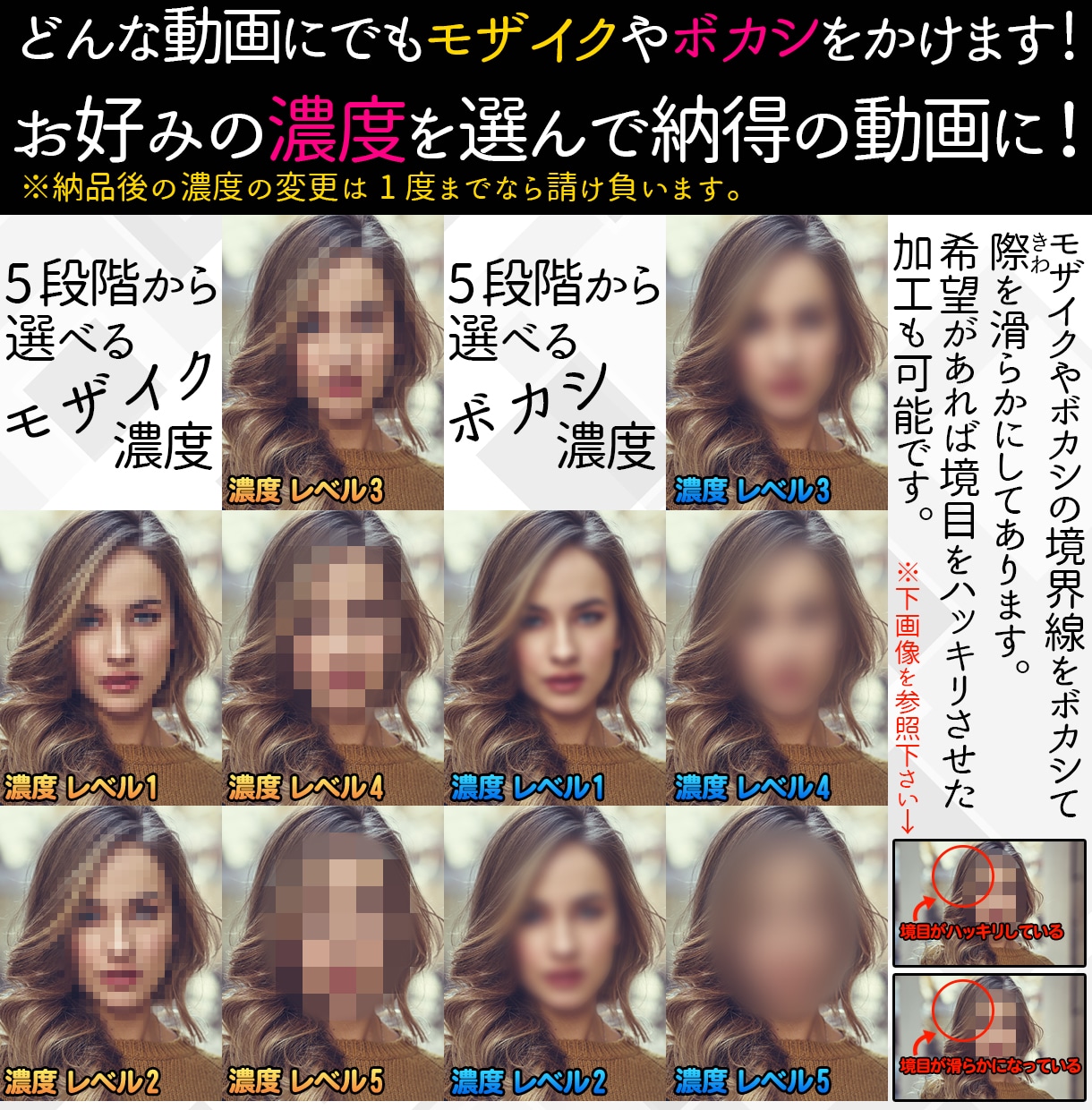 動画にモザイクやボカシをかけます メーカー大手のモザイク処理を請け負うプロの技術。 イメージ2