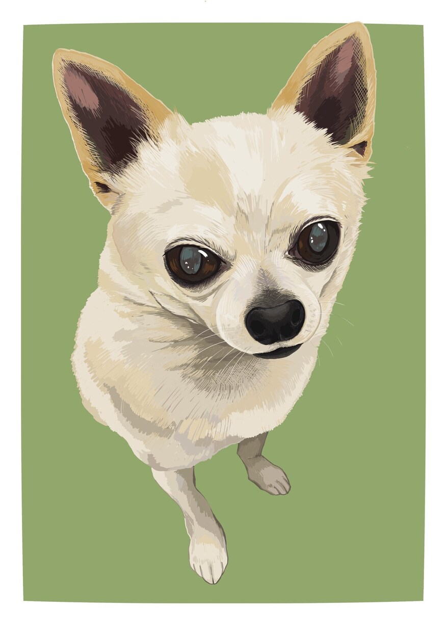 あたたかみのある似顔絵お描きします 愛犬、愛猫など大切なご家族の似顔絵はいかがですか？ イメージ3