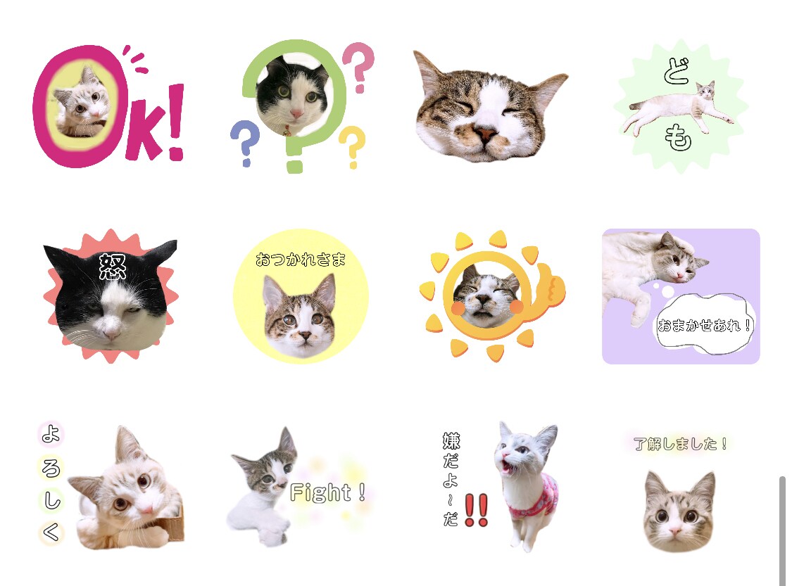 ペットのオリジナルLINEスタンプ作成します あなたのペットの写真で可愛いスタンプつくります☆ イメージ3