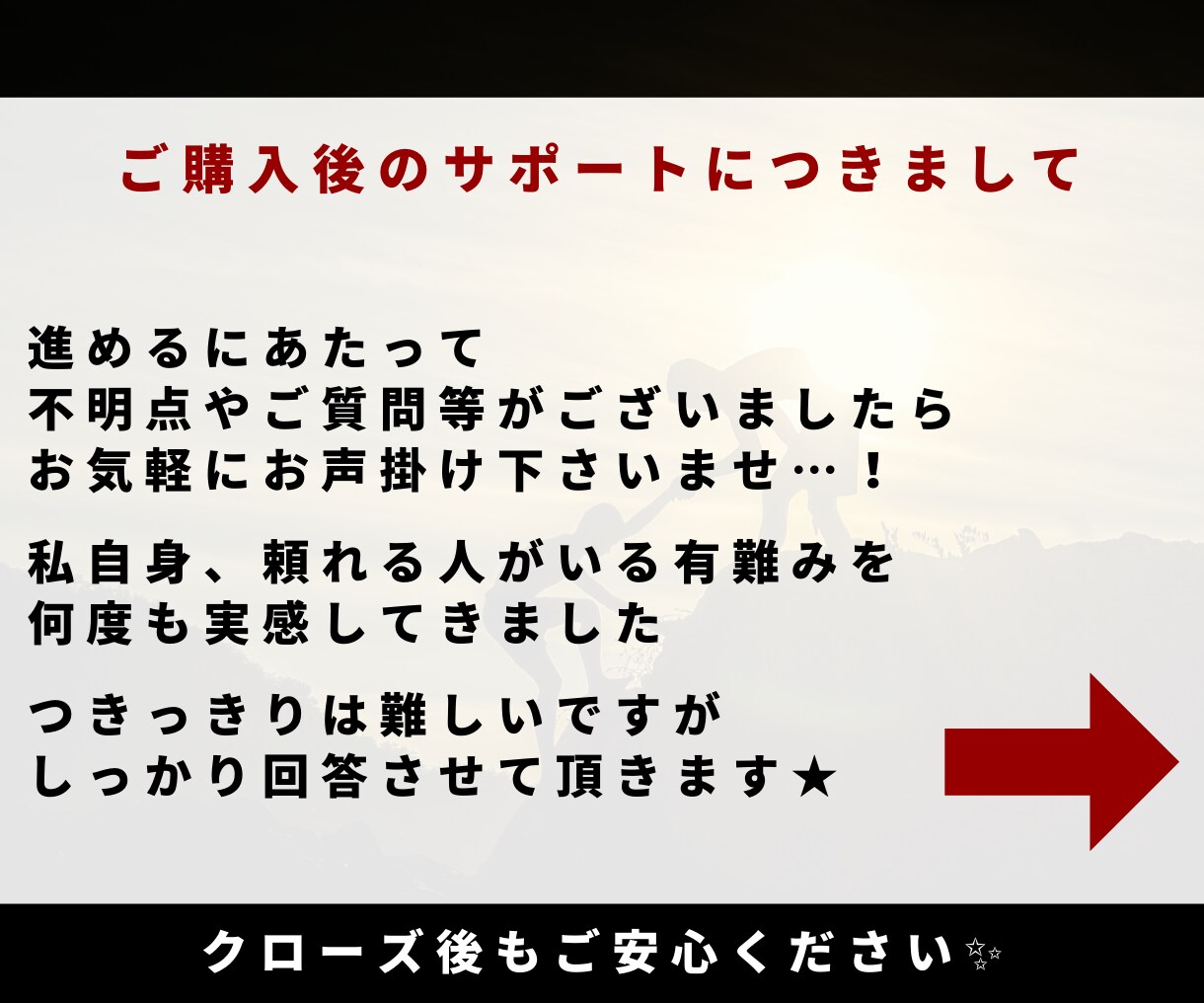 ココナラ勝者への道【決定版】プラチナ昇格法授けます 属人性を排除！不器用なあなたへ捧げる〝現実的攻略法〟総まとめ イメージ7
