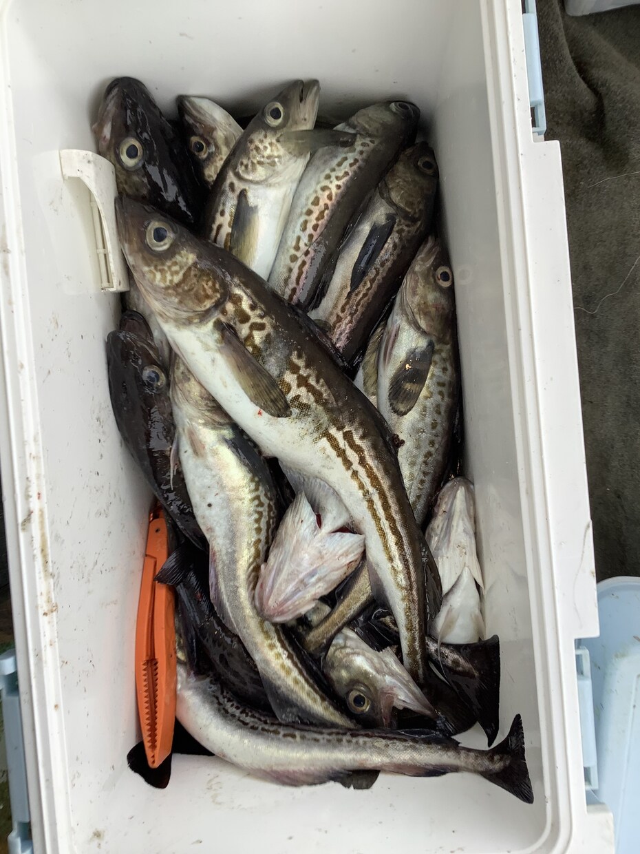 北海道の釣り楽しい話しします マグロからヤマメ迄の、釣り教えます。 イメージ6