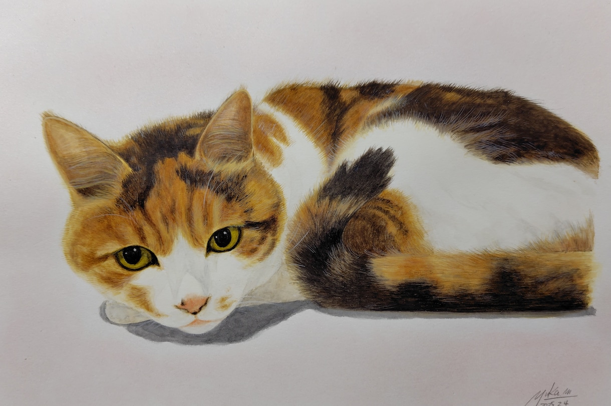 猫ちゃん専門！リアル手描き水彩の肖像画ですます 渾身丁寧に描き込む透明水彩画による唯一の原画をお届けします イメージ2