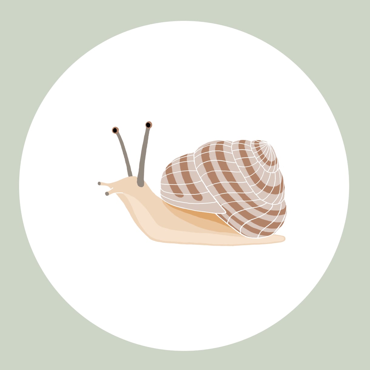 WEB素材やチラシ・挿絵用のイラスト制作いたします 虫や魚などのイラスト描きます！ イメージ5