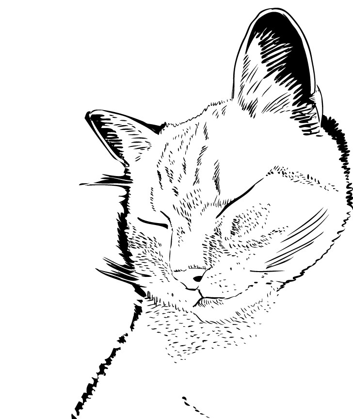 白黒イラスト描きます 風景・動物・機械・シンプルなキャラクターなど イメージ2