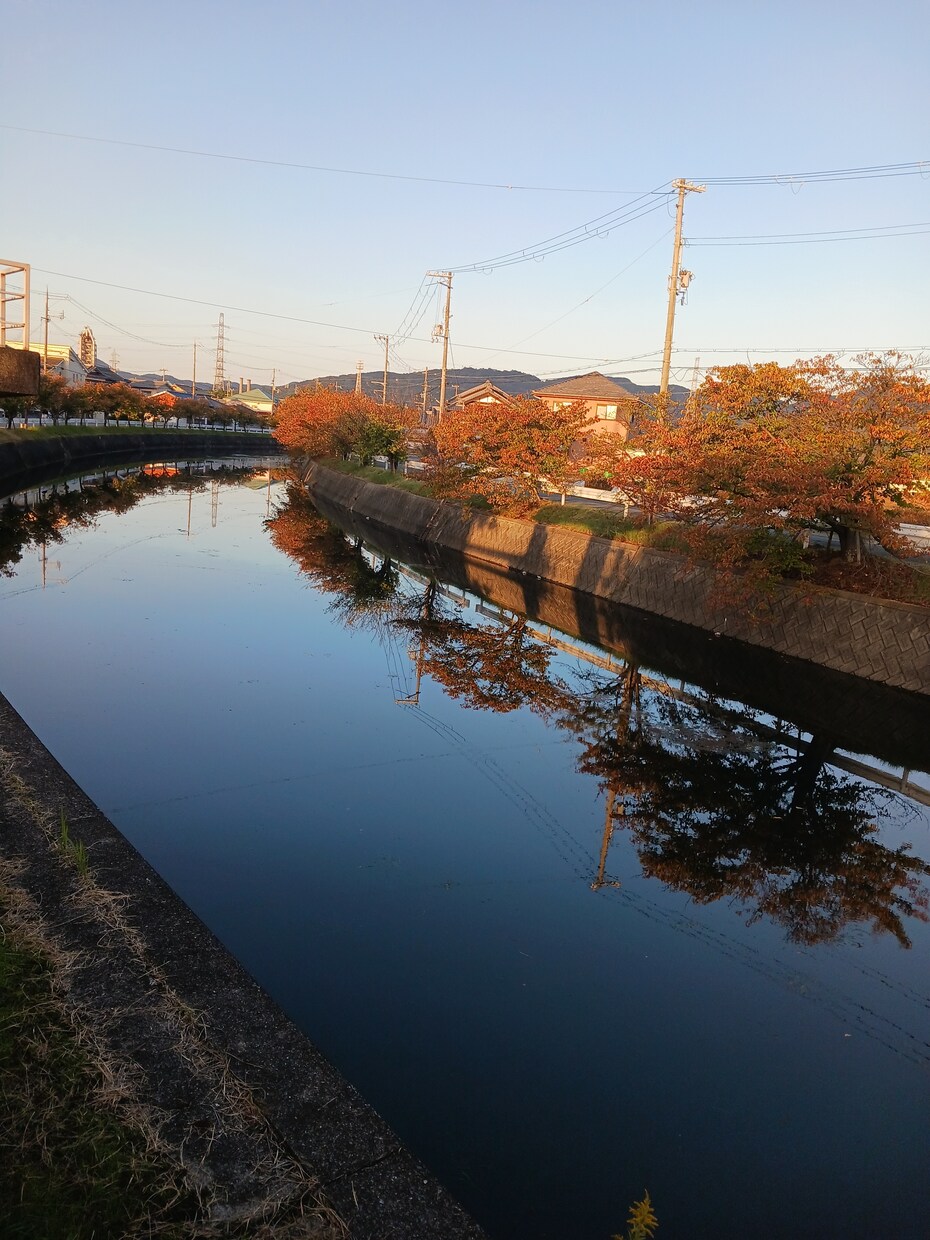 今感じるモヤモヤ、傾聴します 落ち着かない、考え事が多い等々脳の整理一緒にしませんか イメージ1