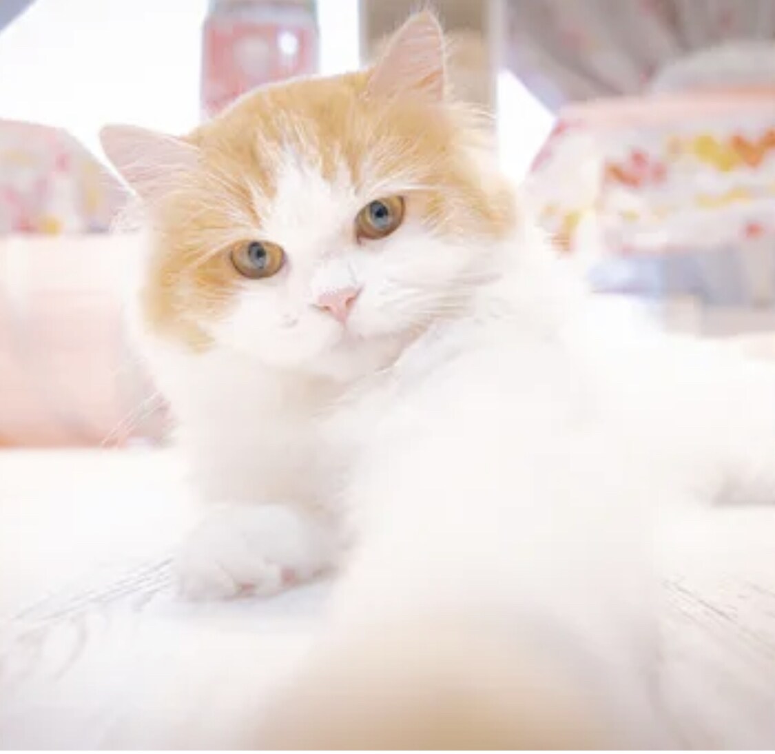 女性限定♡今すぐお悩み(お試し１分〜)聞きます 小さな悩み大きな悩み全然大丈夫！友達、親に言えない事聞きます イメージ7