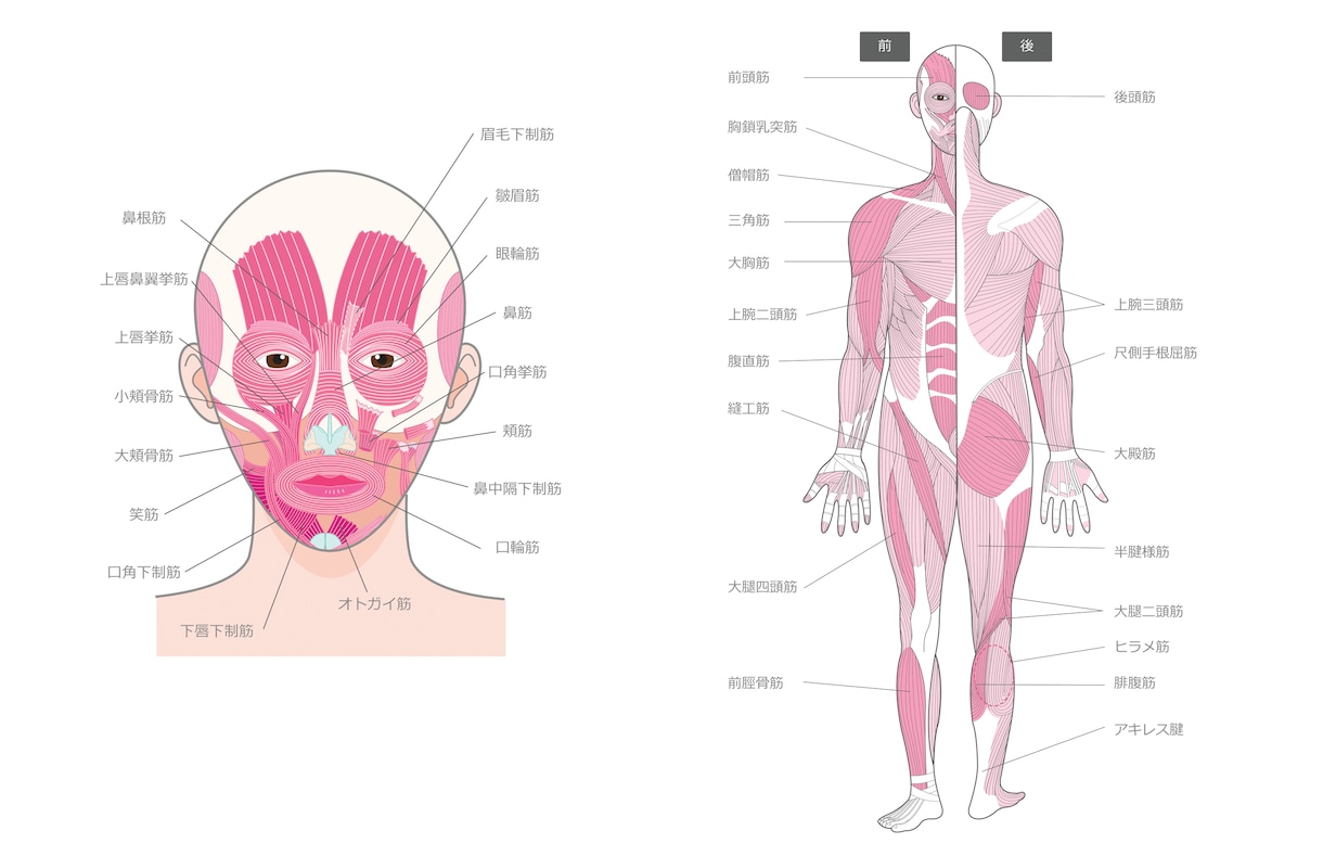 医療用イラスト作成いたします 医療用のイラストをお手軽なお値段で作成致します! イメージ8