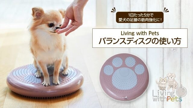 プロ品質のPR動画。売れる、伝わる動画を制作します 柔軟対応とスピード重視、コスパの高い動画制作 イメージ5
