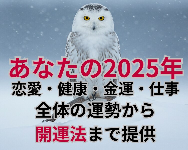 あなたの2025年の運勢と開運法を伝授します サードアイ霊視で視るあなたの未来、使命　オーダーメイド開運術 イメージ7