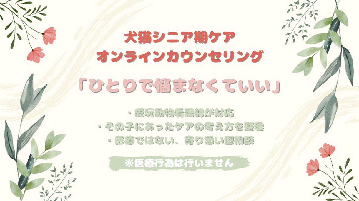 大切なその子と向き合う シニア期ケア相談をします その子のために頑張るあなたの、心を整える時間 イメージ1