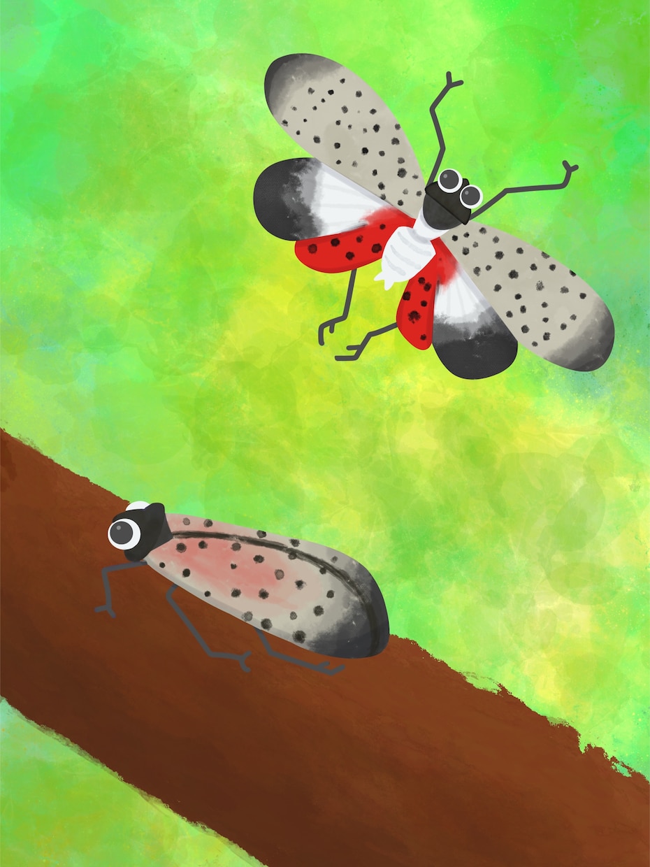 昆虫を中心とした可愛いイラスト描きます 昆虫以外もOK！可愛いアイコン作りませんか？ イメージ4