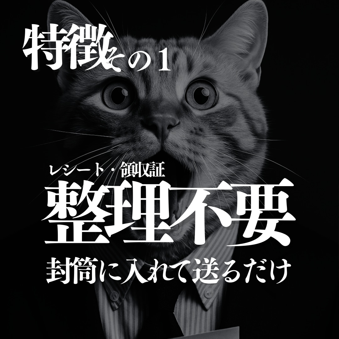 整理不要の記帳代行を提供します 毎月の領収証の整理、帳簿付け、会計仕訳丸ごと請け負います。 イメージ2