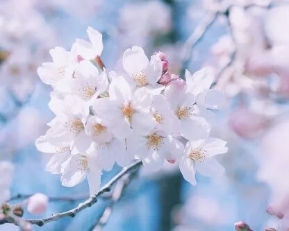 24時間♩お話し相手になります 同性、異性、年齢問いませんっ♡ イメージ3