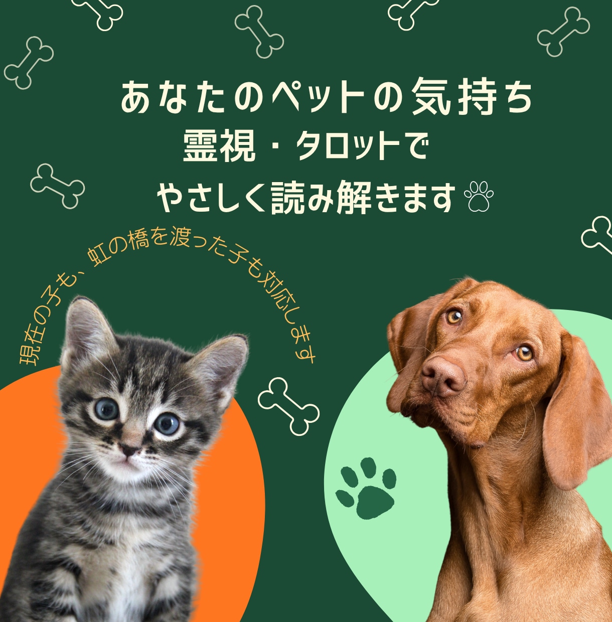 ペットの気持ちを霊視・タロットで読み解きます 言葉にできない“あの子”の本音、届けます イメージ1
