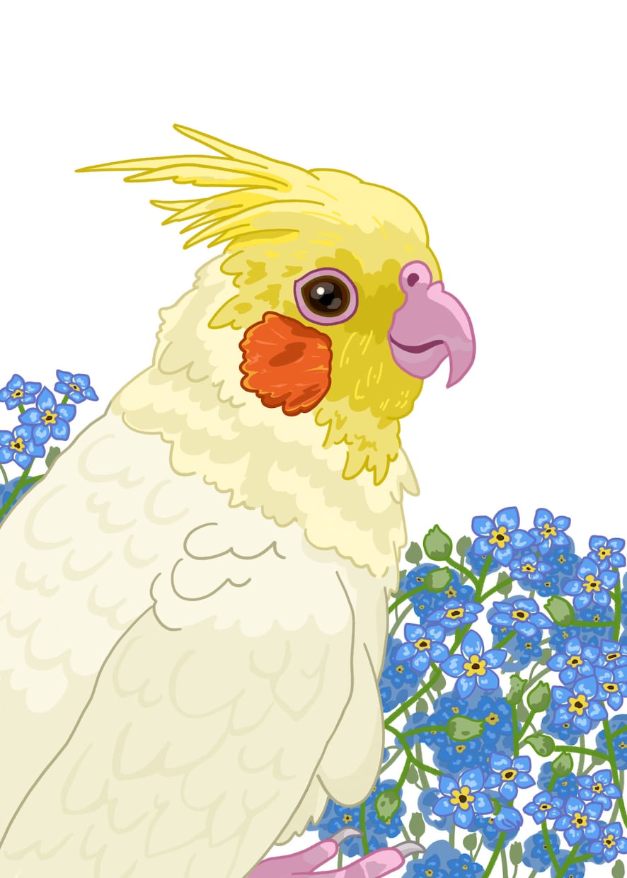 シンプルタッチでペットのイラスト描きます お写真を元に見本のようなタッチで制作いたします！ イメージ2