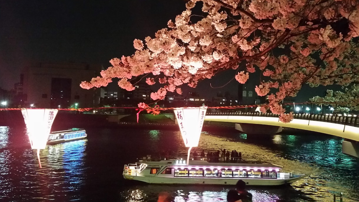 浅草観光のその時々にあった計画をサポートします 浅草付近在住のため、隅田川の花火大会などの情報あり イメージ1