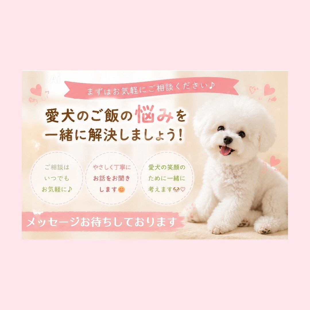 愛犬のご飯選び、優しくサポートします 愛犬の体質に合うご飯選びをサポートします イメージ5
